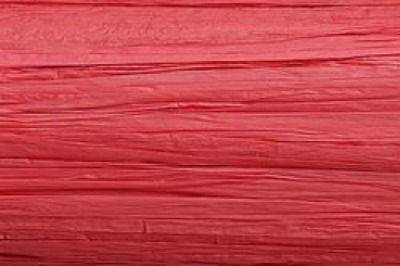 Edelbast Viscose 30m rot