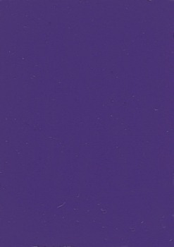 WACO Fin 50ml violett