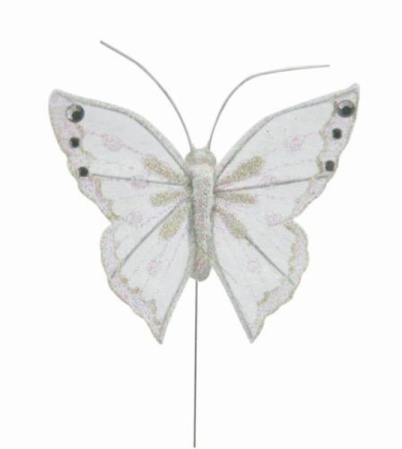 Schmetterling