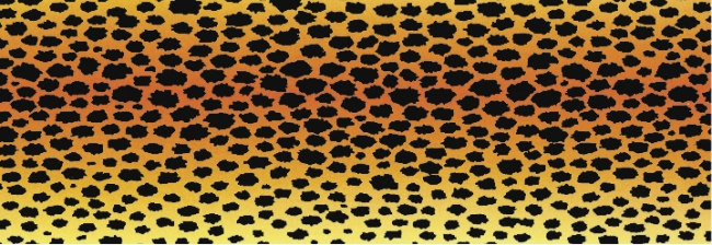 Tierfell-Fotokarton 23x33cm 300g/m² Gepard