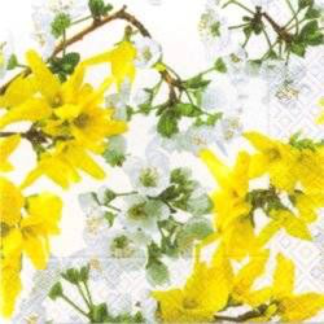 With forsythia